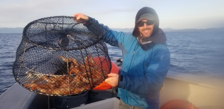 Man holding prawn trap full of prawns